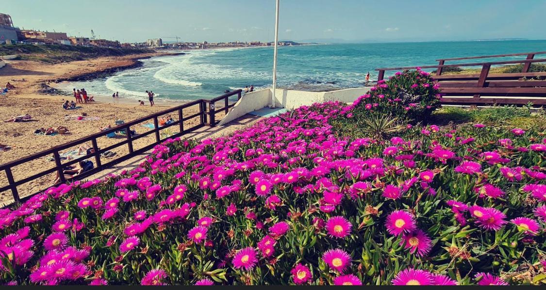 La Mata, Torrevieja公寓 外观 照片